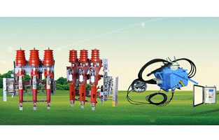 關(guān)于高壓負(fù)荷開關(guān)前面雷爾沃電器已經(jīng)為大家整理了不少知識(shí)，不知道你對(duì)柱上負(fù)荷開關(guān)有了解沒？如今在市場(chǎng)上比較常見的柱上負(fù)荷開關(guān)主要是壓氣式負(fù)荷開關(guān)以及真空負(fù)荷開關(guān)，我們分別來為大家做一個(gè)比較簡(jiǎn)單的講解。